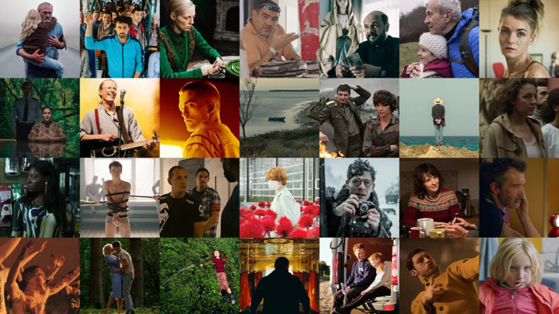 Within the 2019 EFA Feature Film Selection, how many films are directed by women?