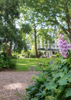 Open Garden Squares Weekend 2019
