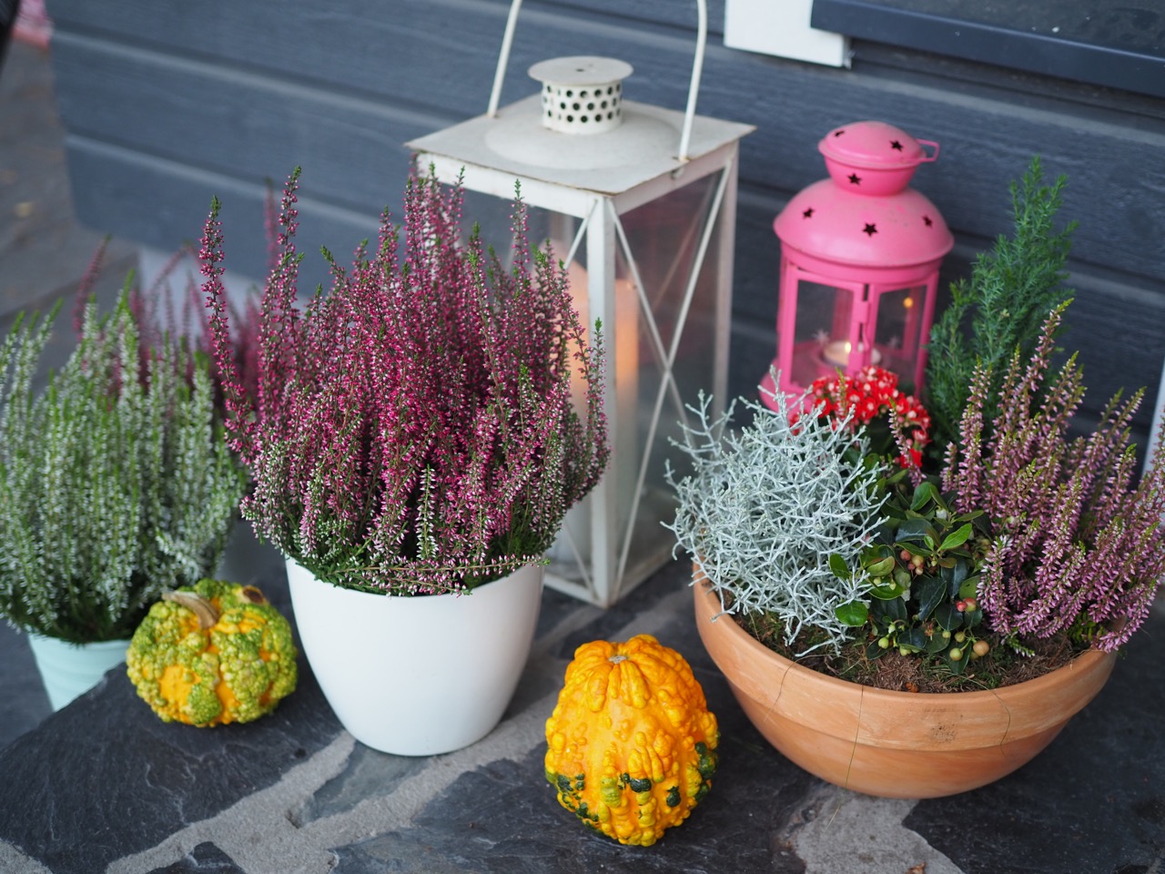 Muumivaipat tarjous Muumivaipat tarjous