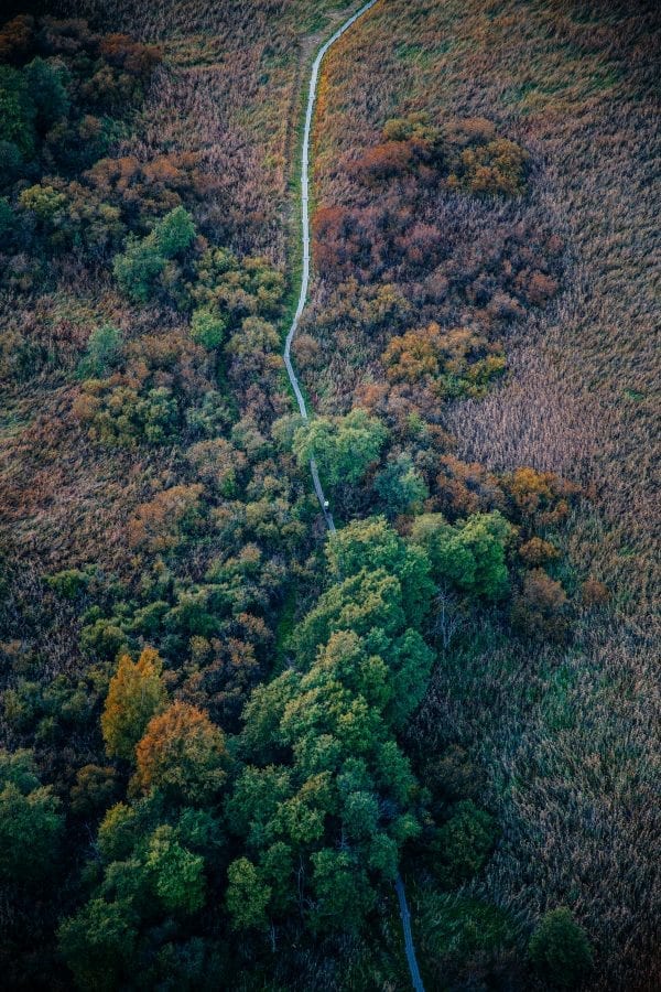 An aerial shot of a trail running through a field and a small forest area. It is autumn, and some trees are turning yellowish. In the centre of the image one can see a person biking down the trail.