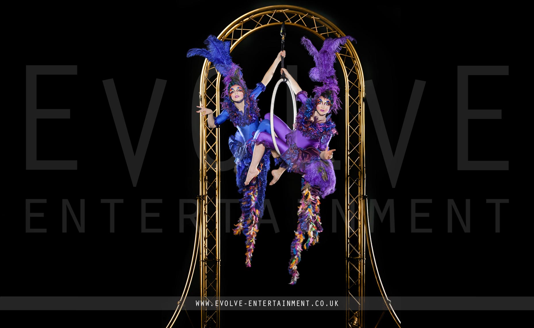 The Aerial Bird Cage Freestanding Aerial Rig Evolve Entertainment