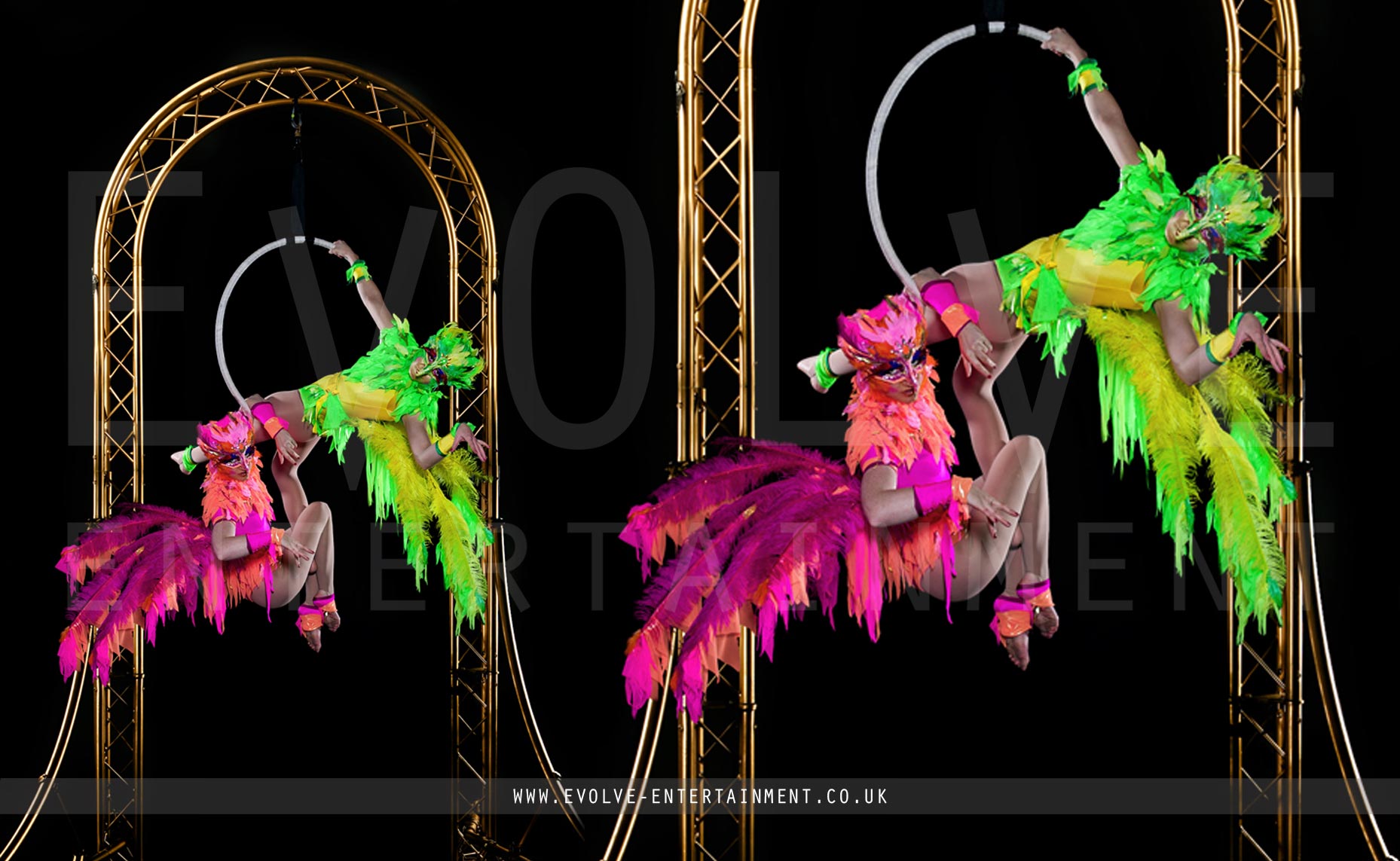 The Aerial Bird Cage Freestanding Aerial Rig Evolve Entertainment