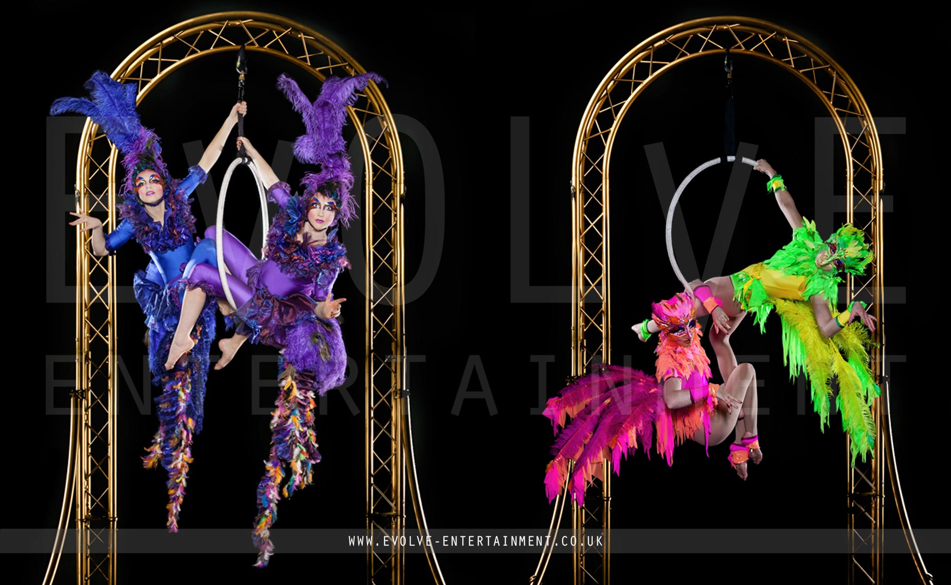 The Aerial Bird Cage Freestanding Aerial Rig Evolve Entertainment