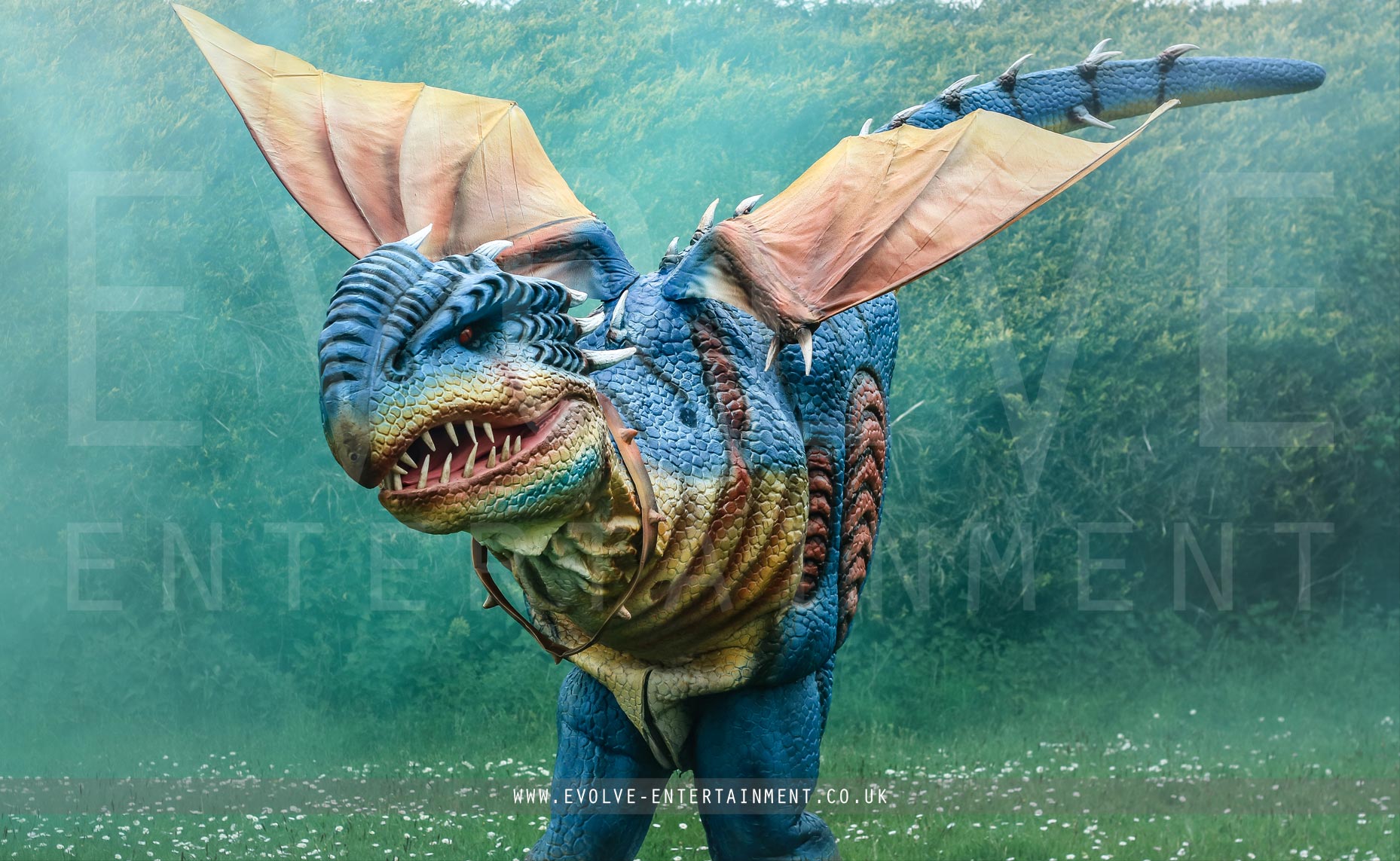 Giant Blue Dragon | Evolve Entertainment