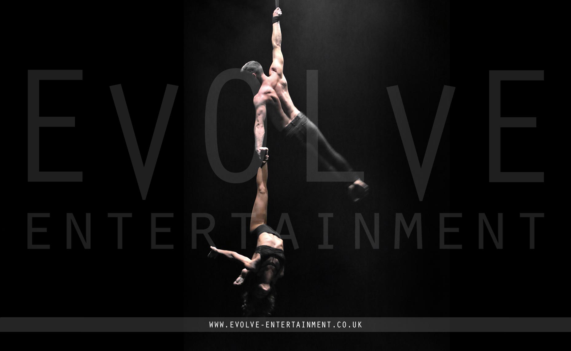 50 Shades Aerial Straps Duo Aerial Entertainment