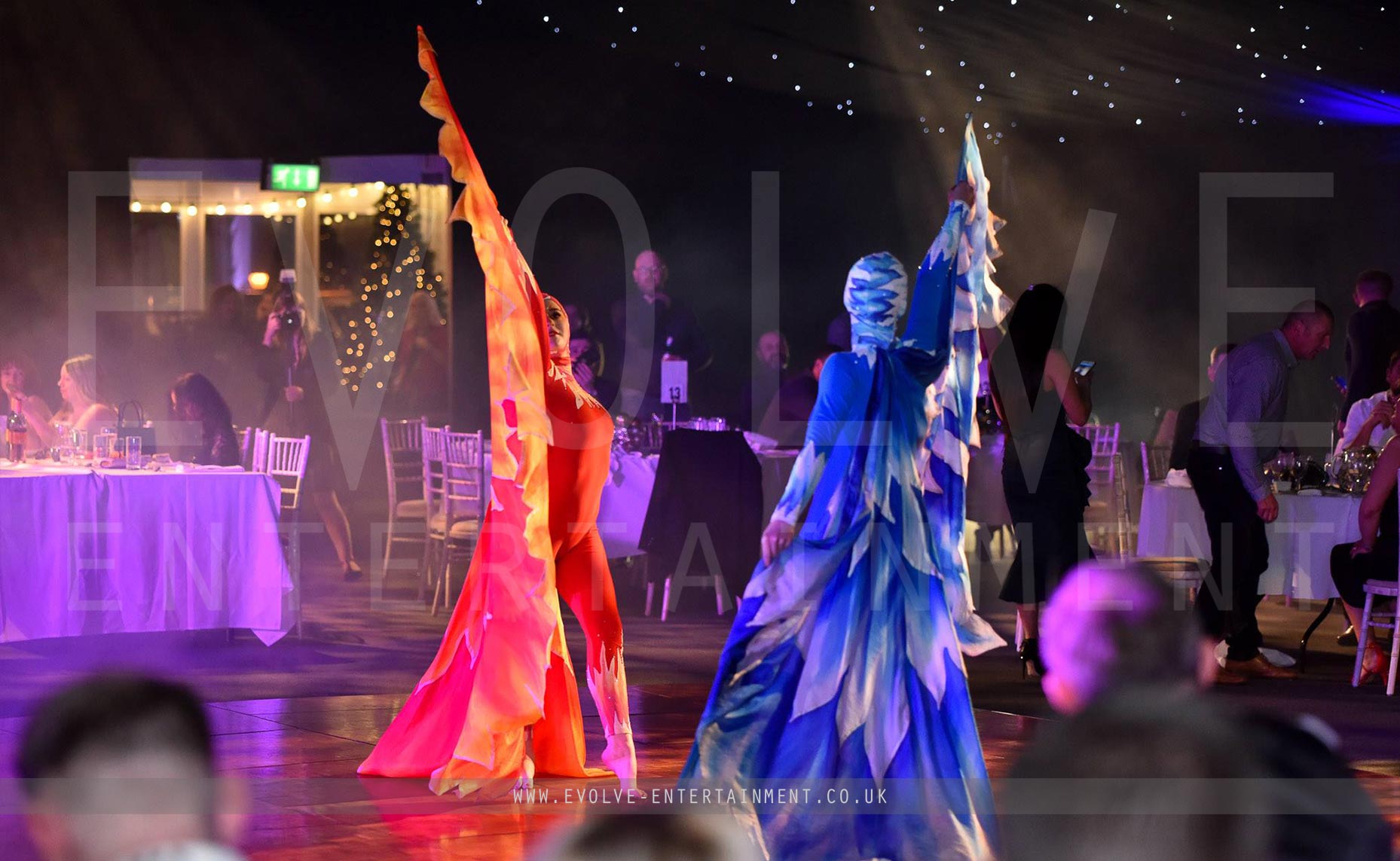 Fire and Ice Acrobatic Show