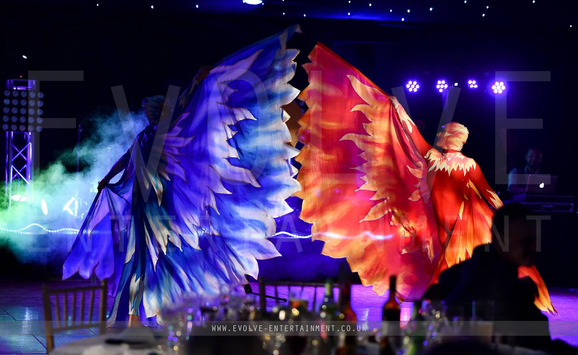 Fire and Ice Acrobatic Show