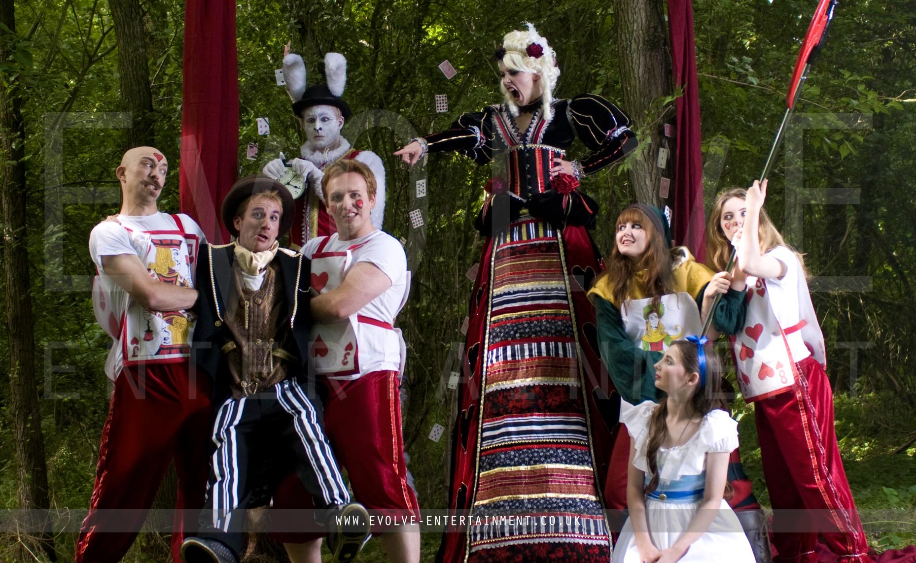 alice in wonderland adult costumes for fairytale party