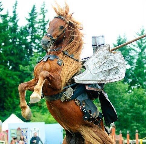 Montanta Renaissance Faire - Montanta Renaissance Faire