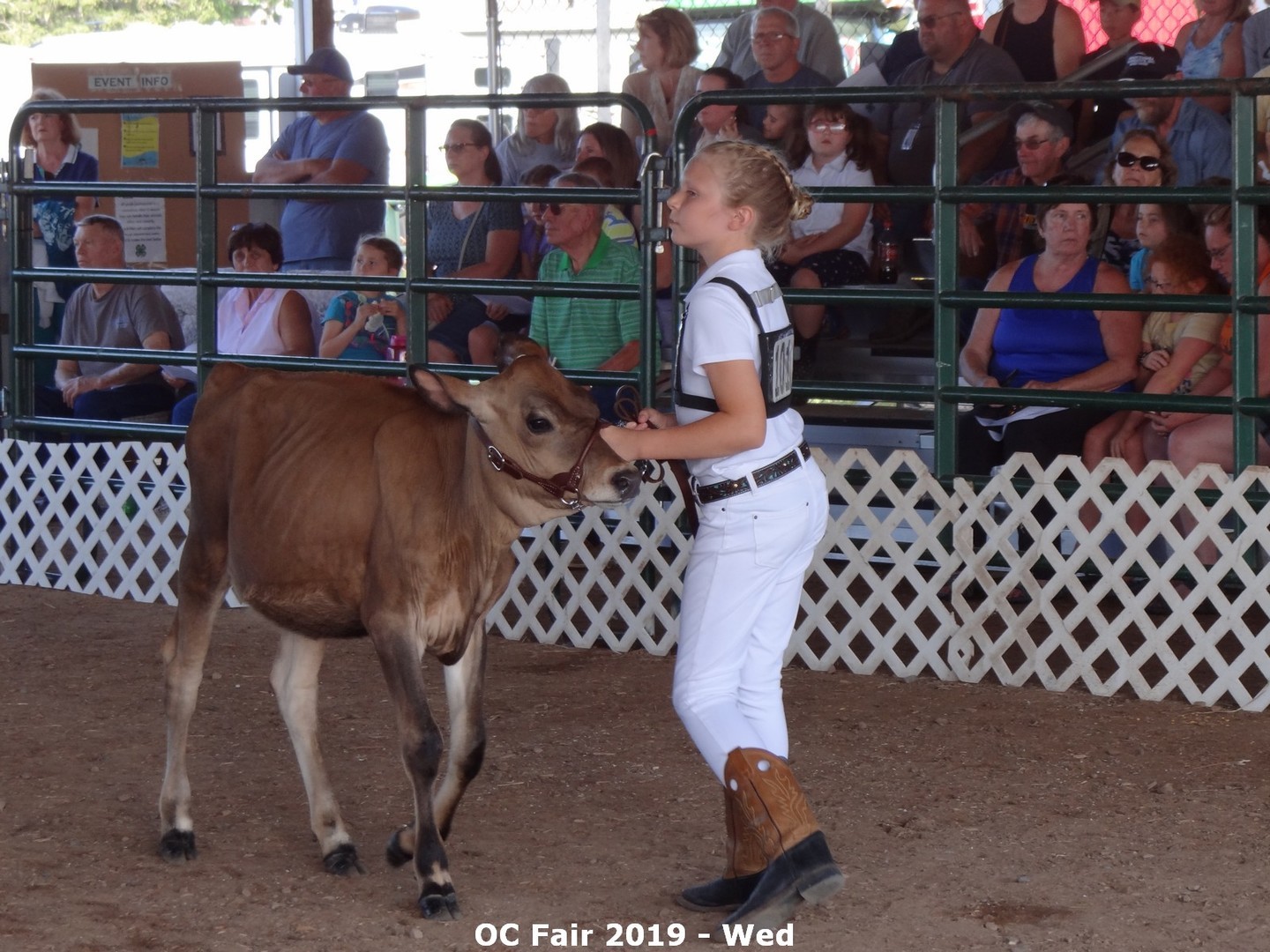 Orleans County 4-H Fair