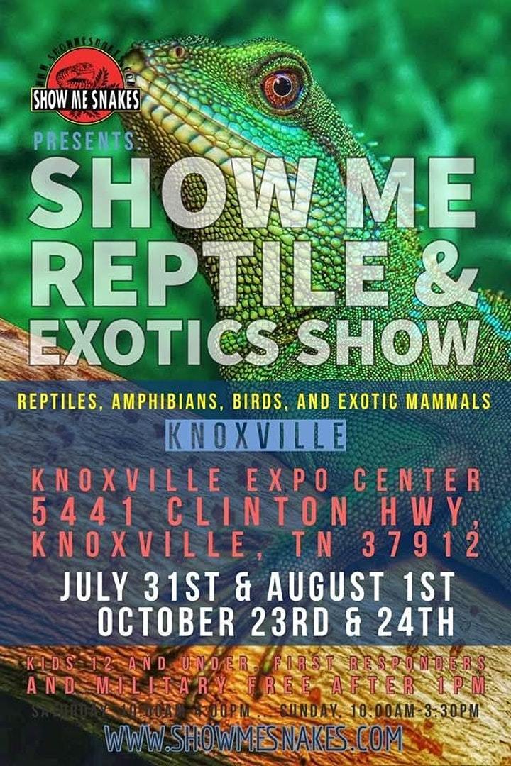 Calendar Reptiles Magazine