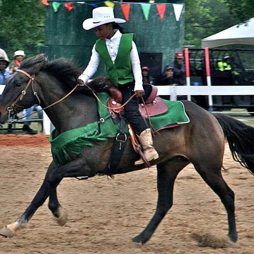 The Black Cowboy Festival & Rodeo