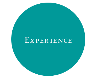 Experience