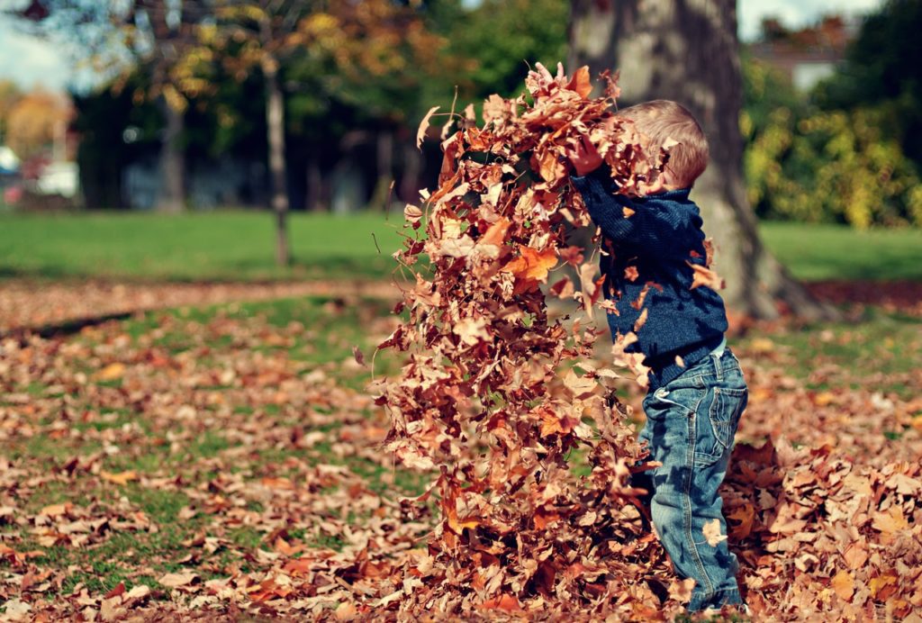 boy plays with leaves