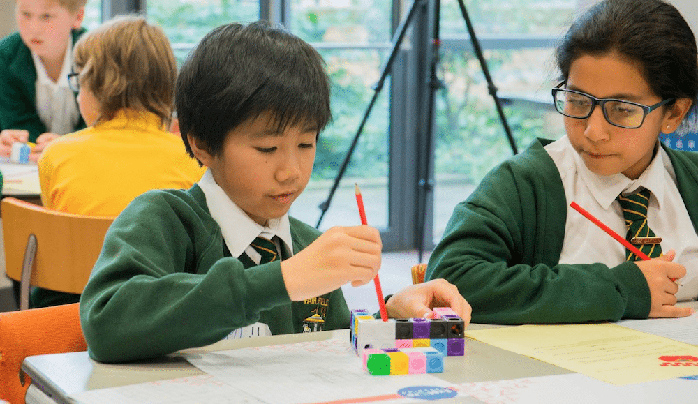 Young mathematicians