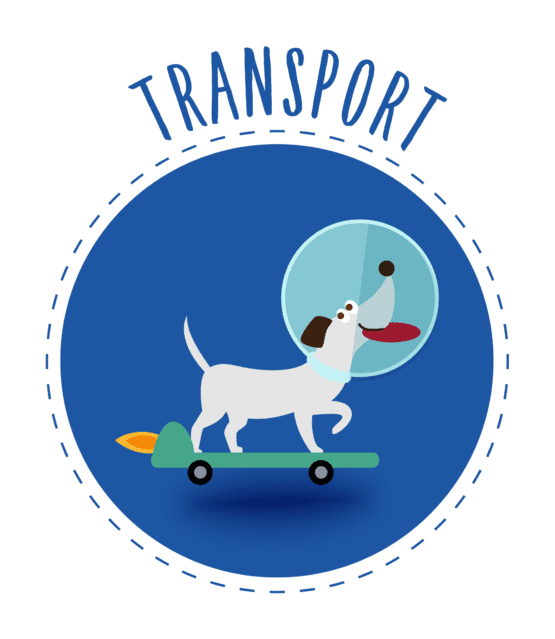 NYWA transport