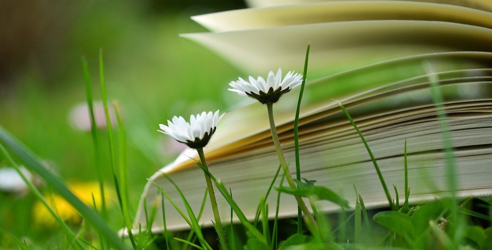 Summer reading