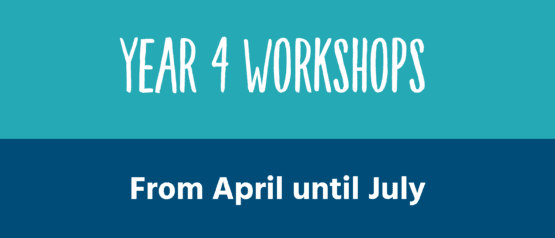 11 Plus workshops