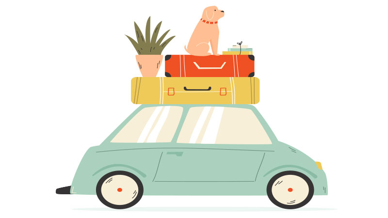Illustration of a car with luggage and a dog.