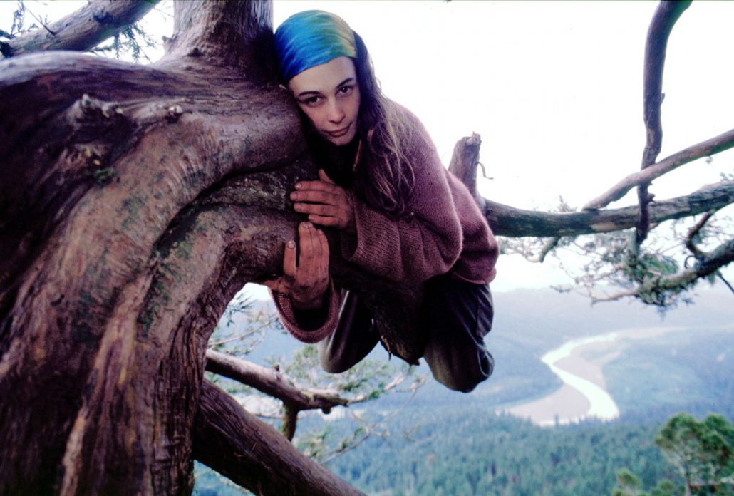 Resultado de imagen de Julia Butterfly Hill