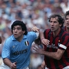 francesco262