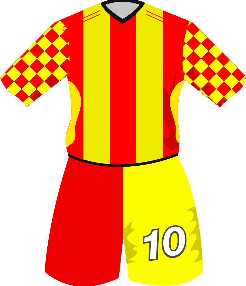 maglietta