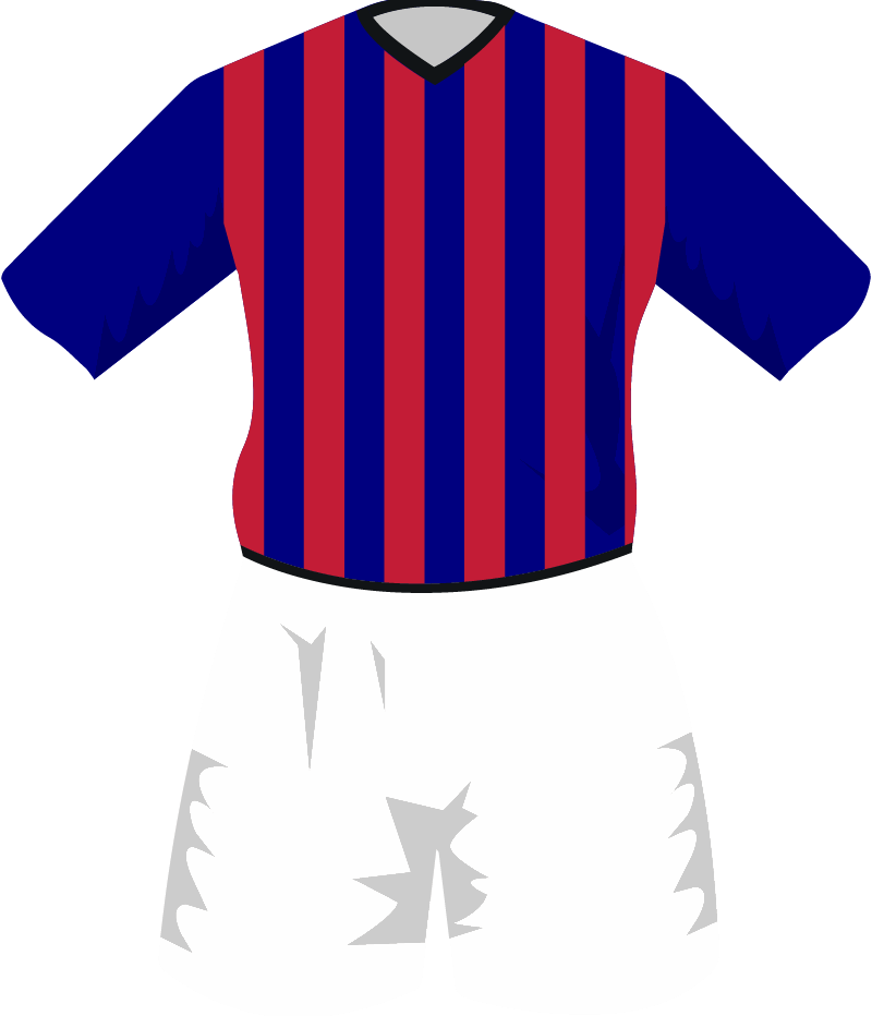 maglietta