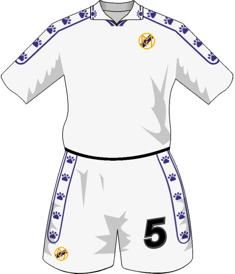 maglietta