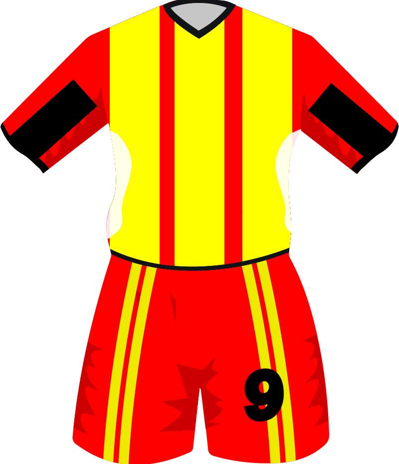 maglietta