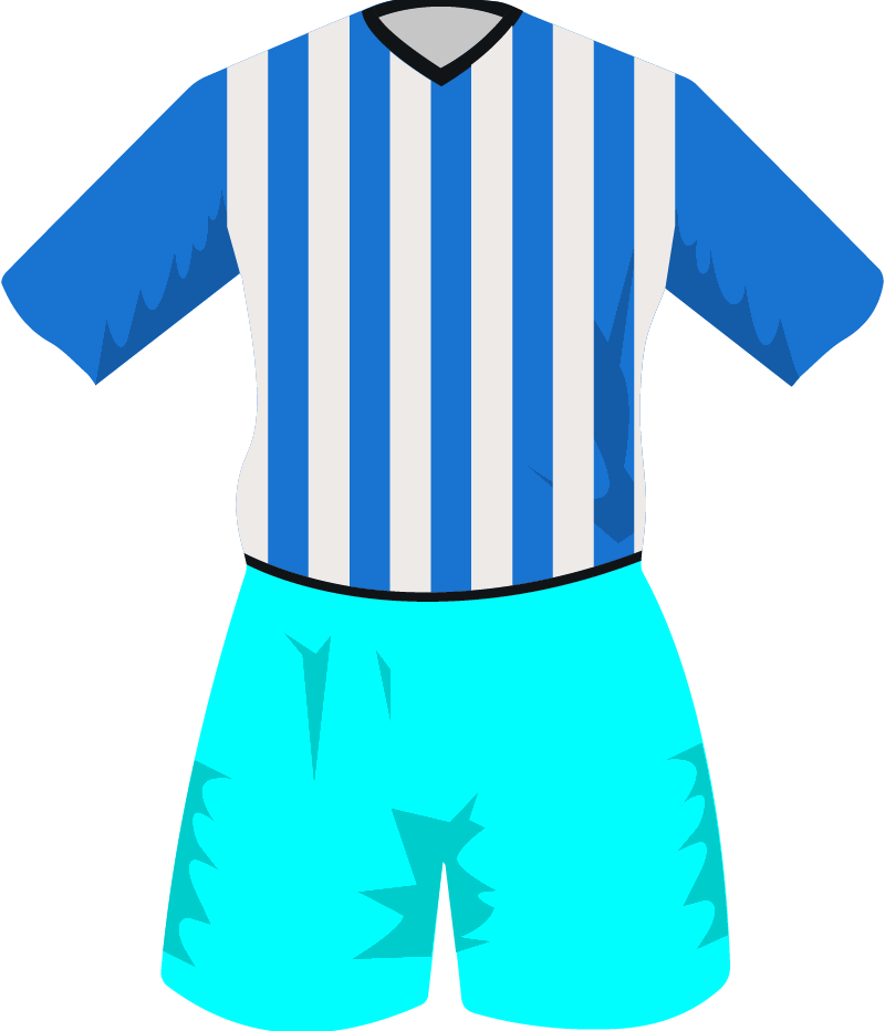 maglietta