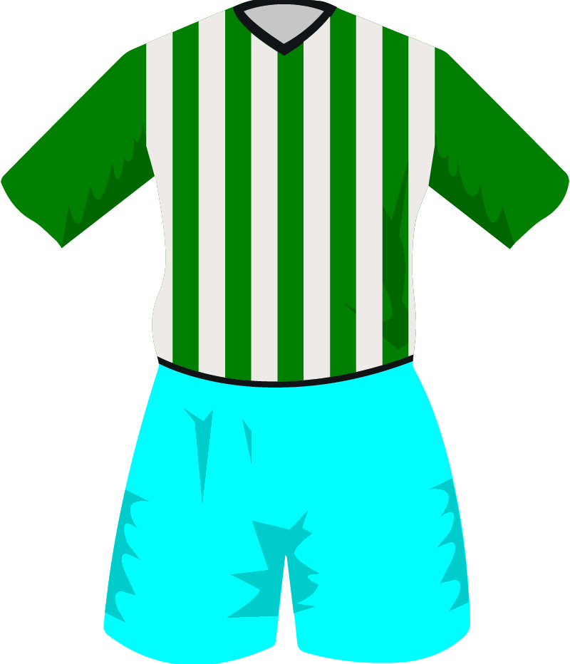 maglietta