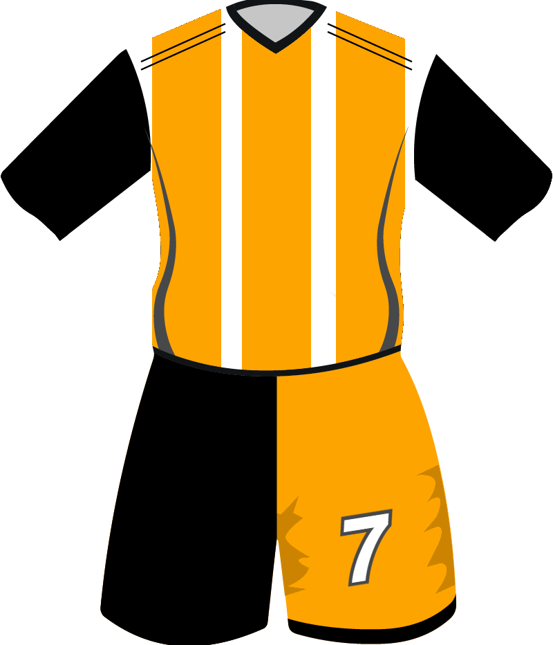 maglietta