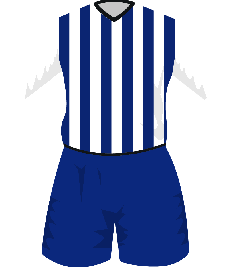 maglietta