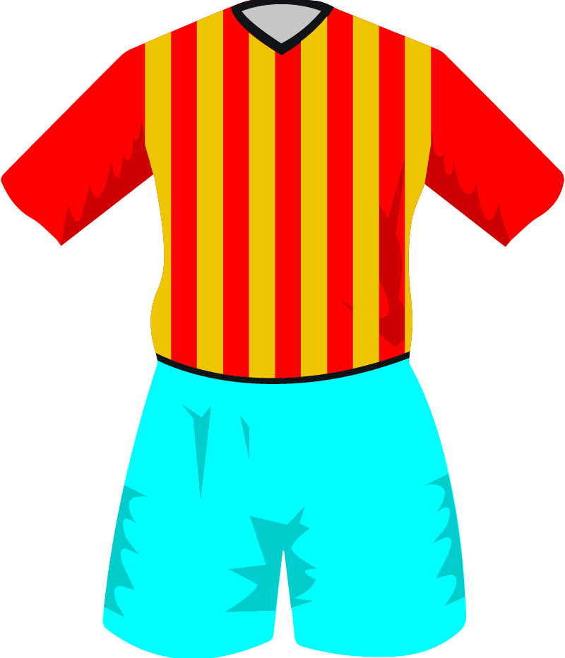maglietta