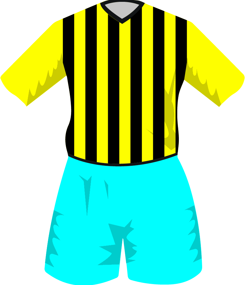 maglietta
