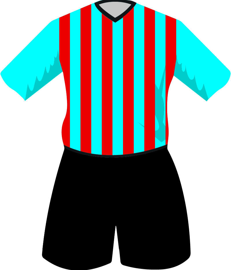 maglietta
