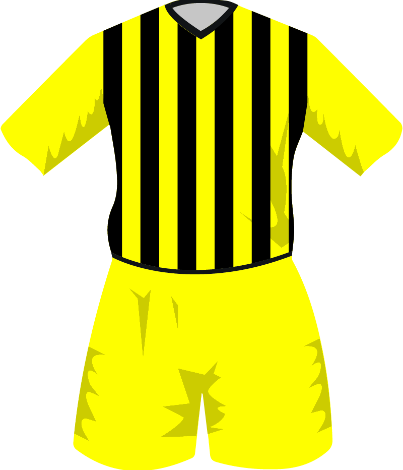 maglietta