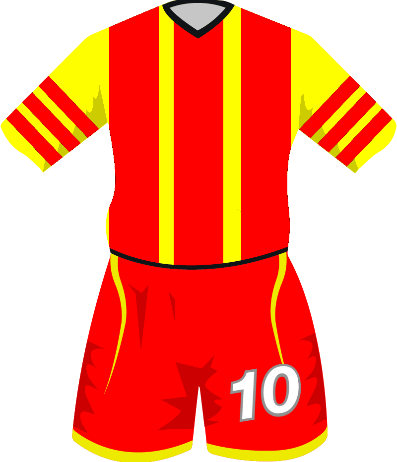 maglietta