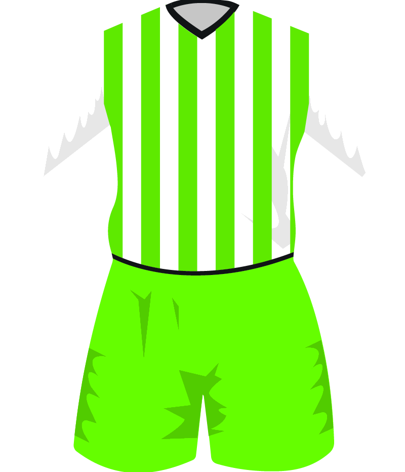 maglietta