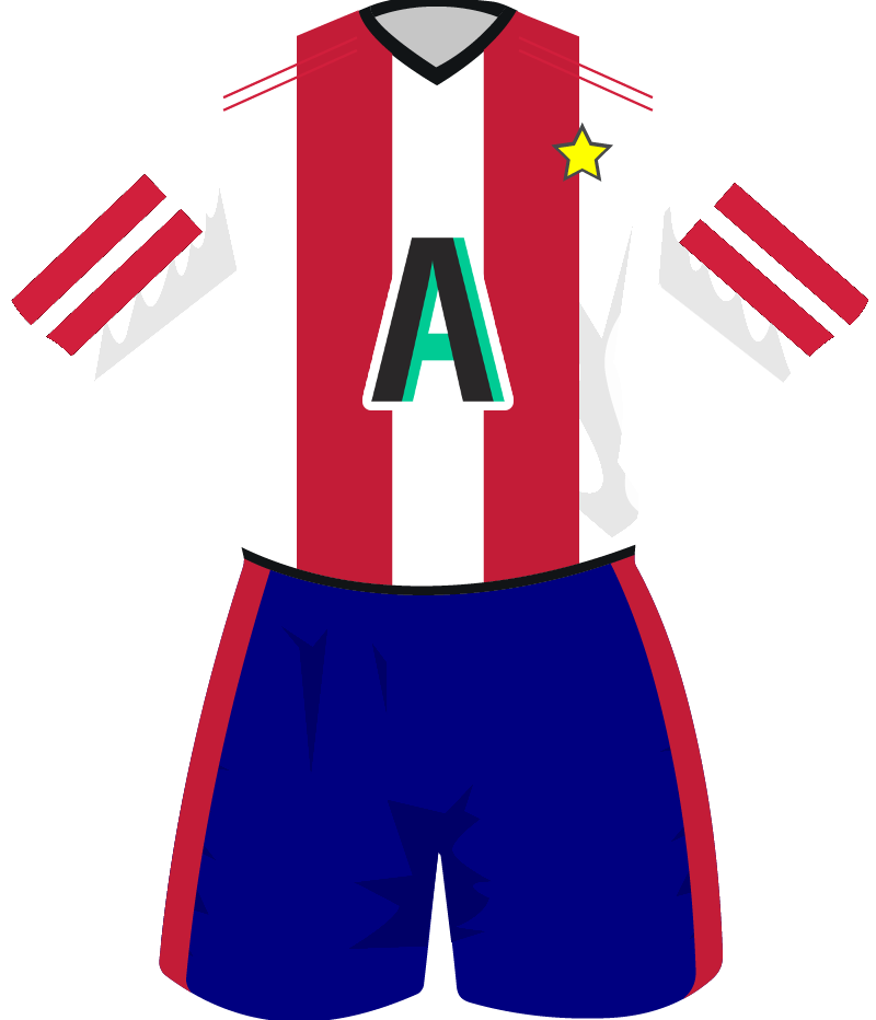 maglietta