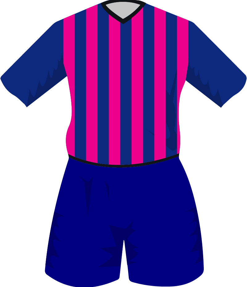maglietta