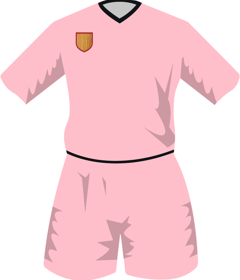maglietta
