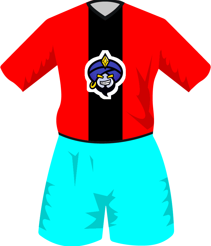 maglietta