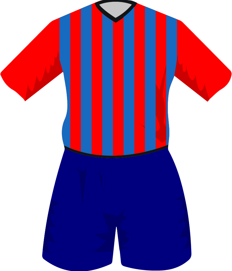 maglietta