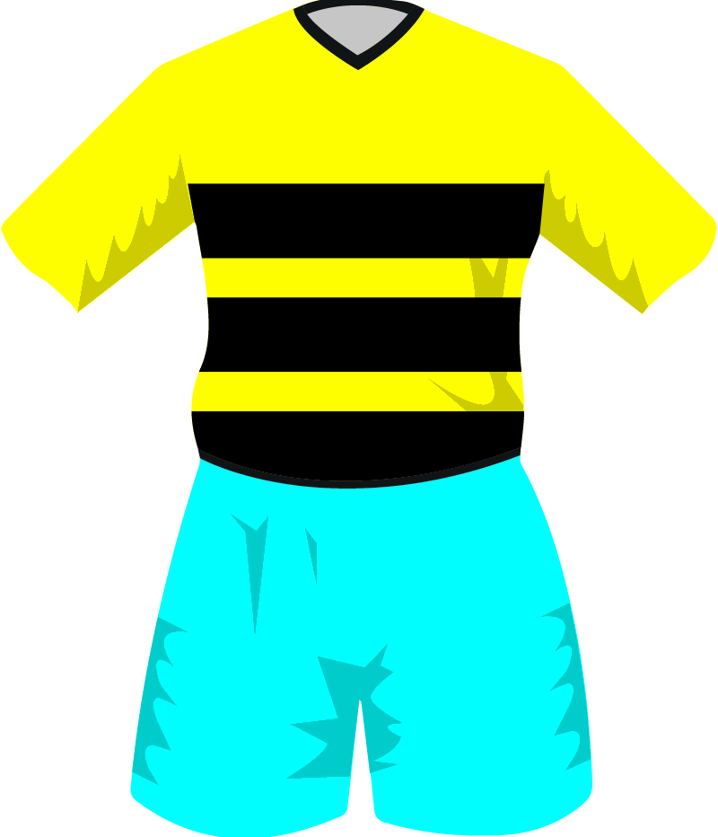maglietta