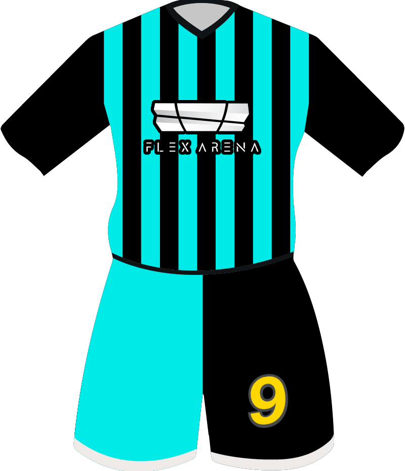 maglietta
