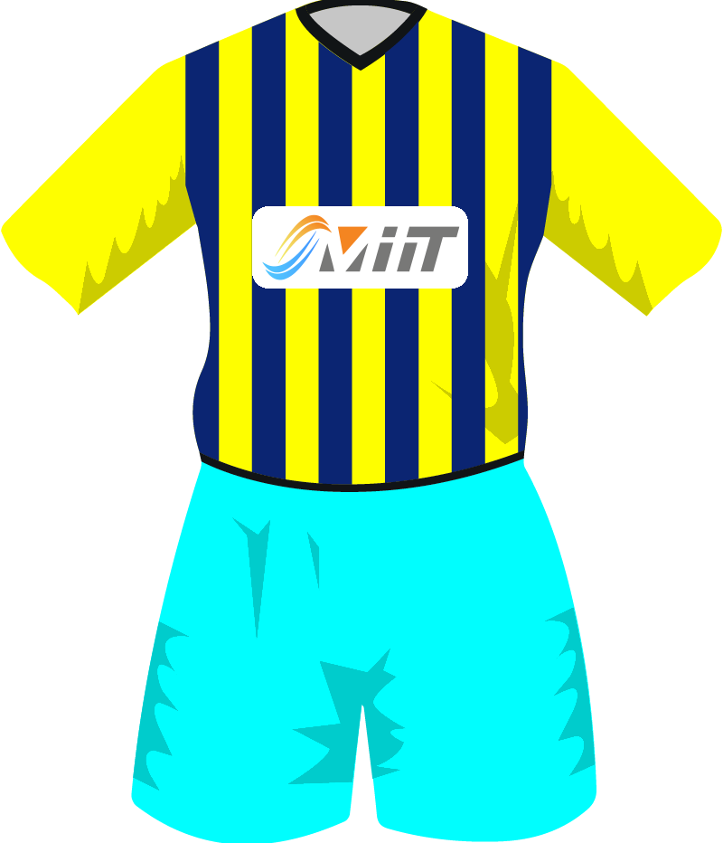 maglietta