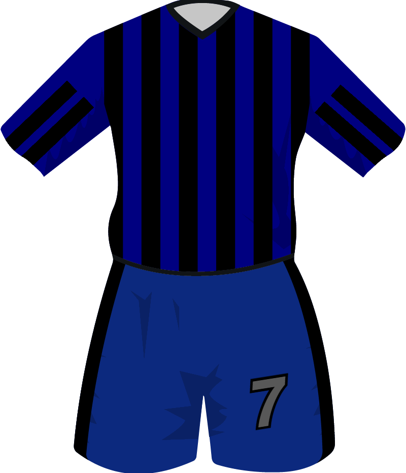 maglietta