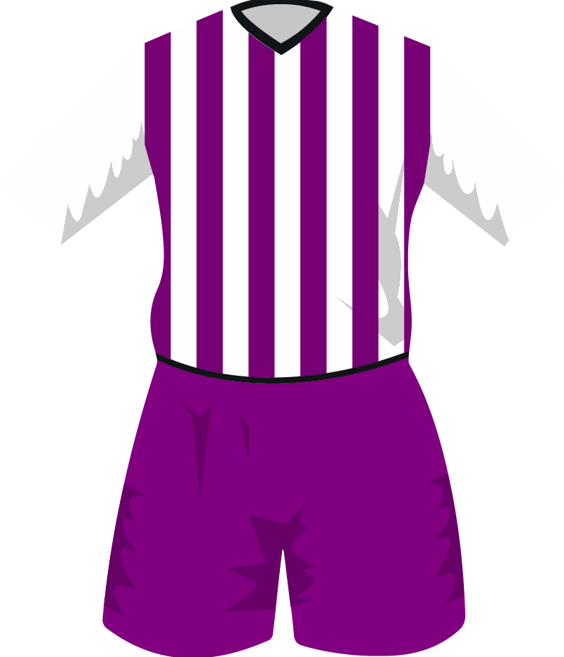 maglietta