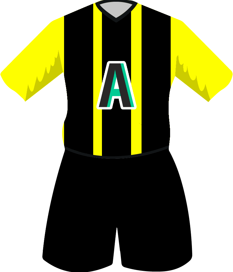 maglietta